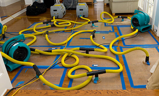 Professional Water Extraction technician working in Lynn, IN